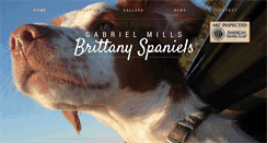 Desktop Screenshot of gmbrittanyspaniels.com